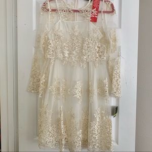 NWT Taylor Ivory Lace Dress